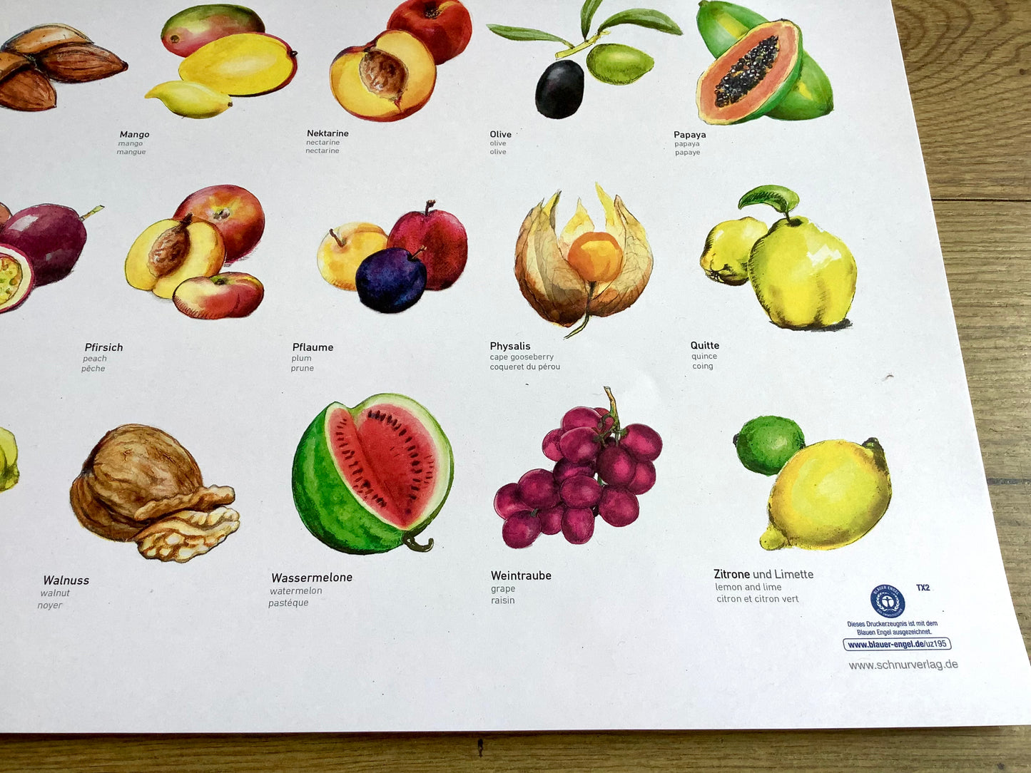 ABC-Poster Obst Schnurverlag