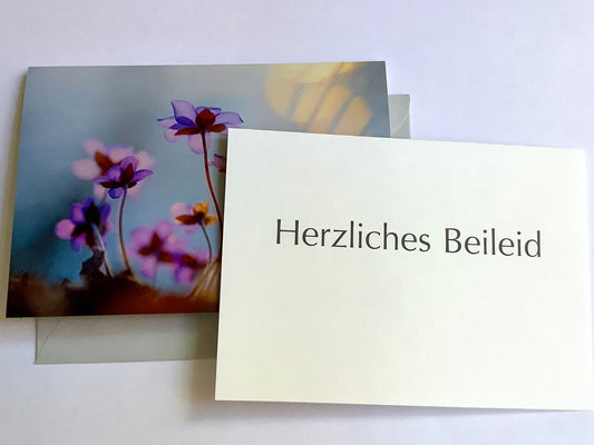 Leberblümchen-Karte Beileids-Einleger