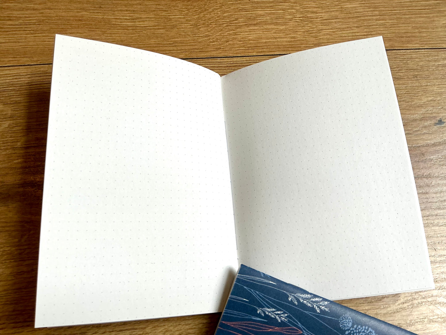 Taschenkalender A6 Monatsplaner (Eine der Guten) blau 2027