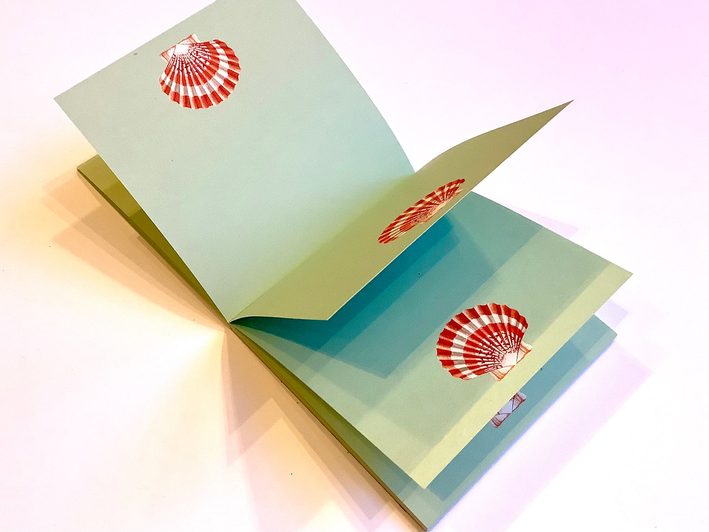 Notizblock Muschel 10x10cm RC "30x40"