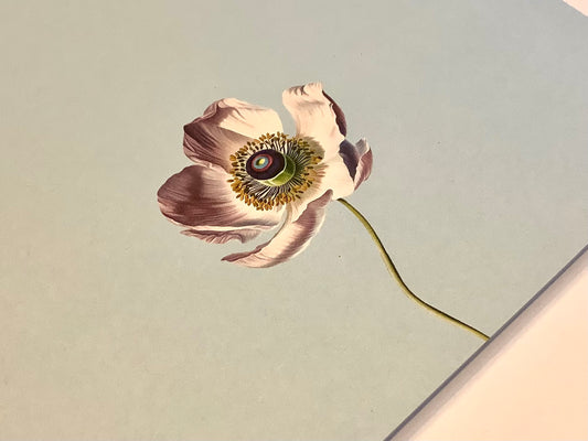 Briefblock A4 Notizblock Anemone RC ("30x40")