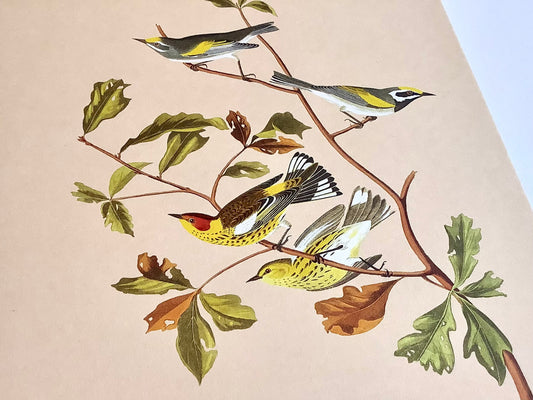 Grußkarte A5 Herbst Print „30x40“