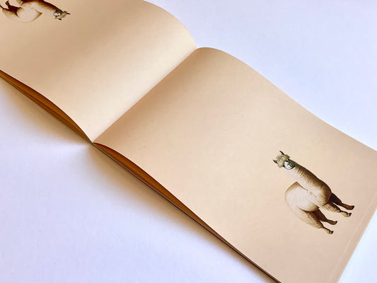 Notizblock A5 Alpaka Briefpapier RC "30x40"