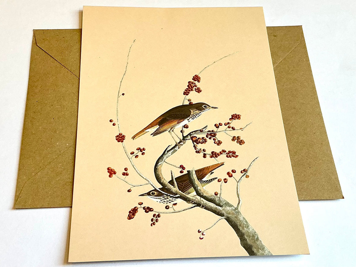 Grußkarte A5 Winter Vögel Beeren „30x40“ RC