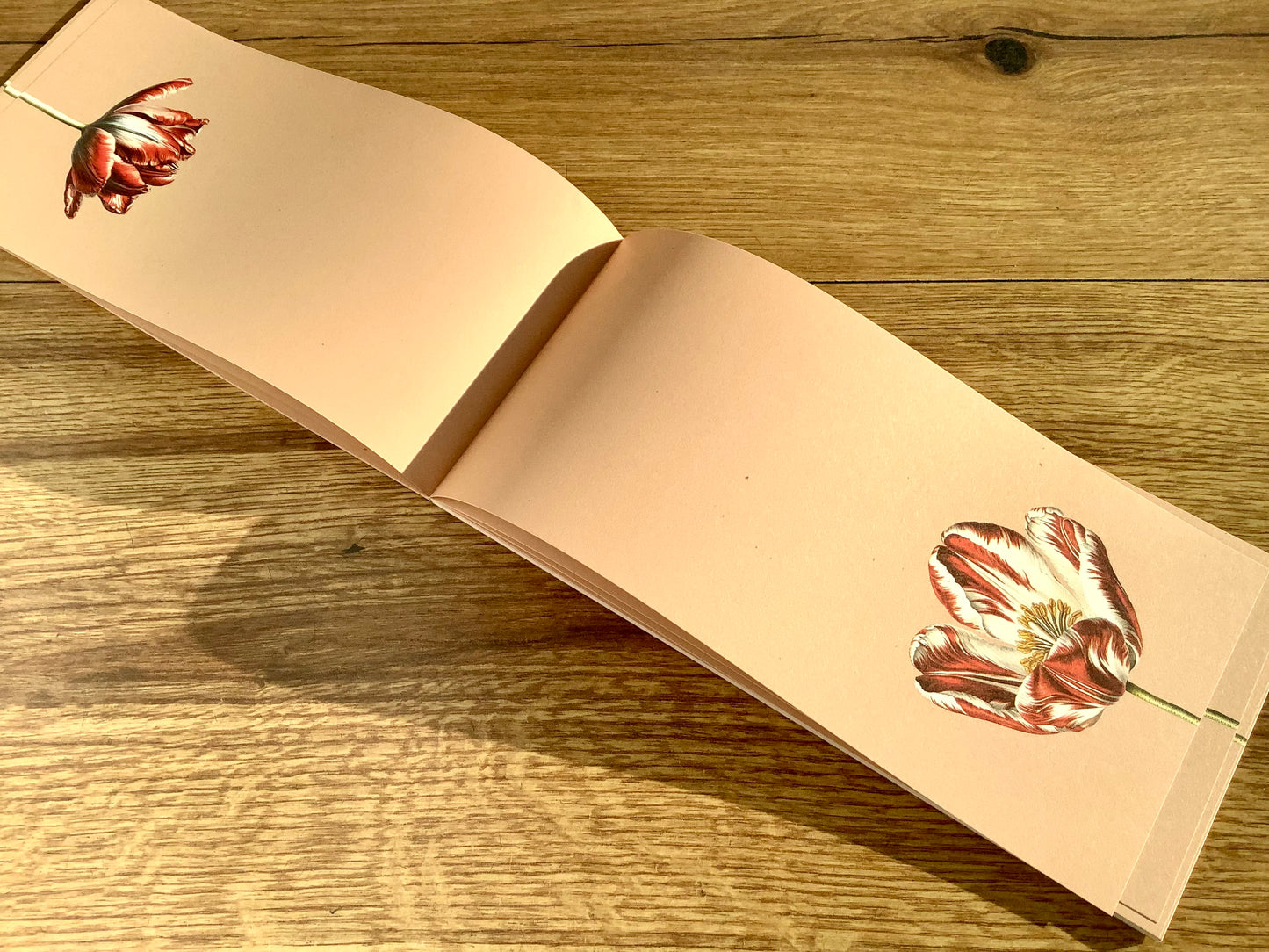 Notizblock lang Tulpe 10x21cm Recycling "30x40"