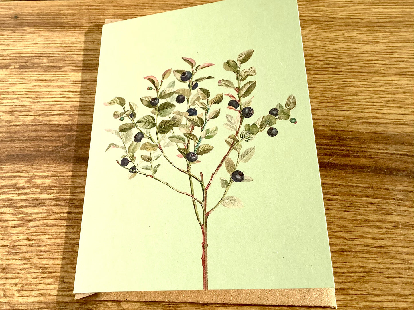 Klappkarte Blaubeerstrauch A6 ("30x40“) RC