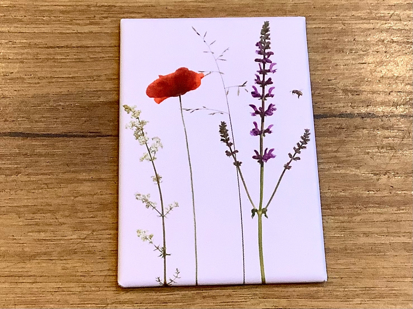 Magnet "Mohn & Wiesensalbei" 5x8cm (Zwiebelblüher)