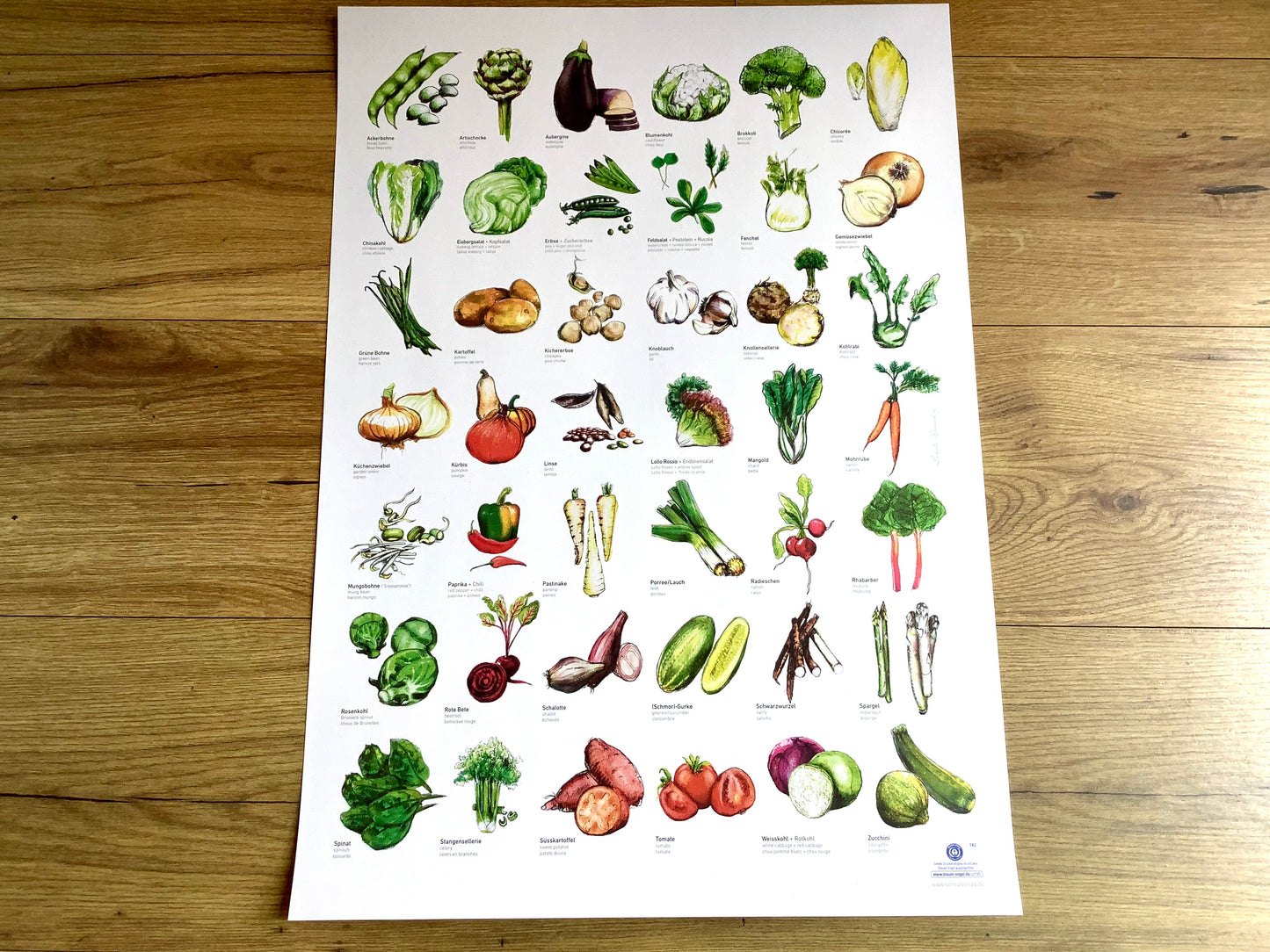 Poster ABC Gemüse 60x40cm Schnurverlag Alphabet A2