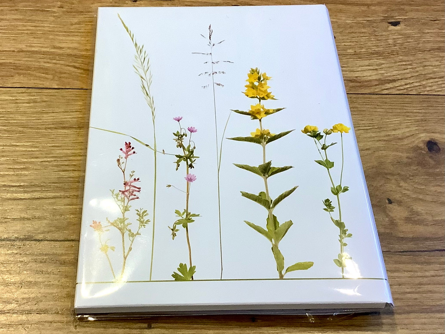 Briefpapier-Set A5 "Wilder Sommer" Blumen
