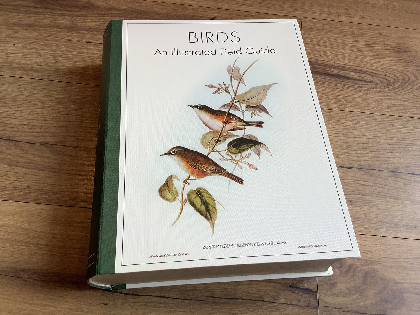 Geschenkschachtel Vögel (Punch Studio)°