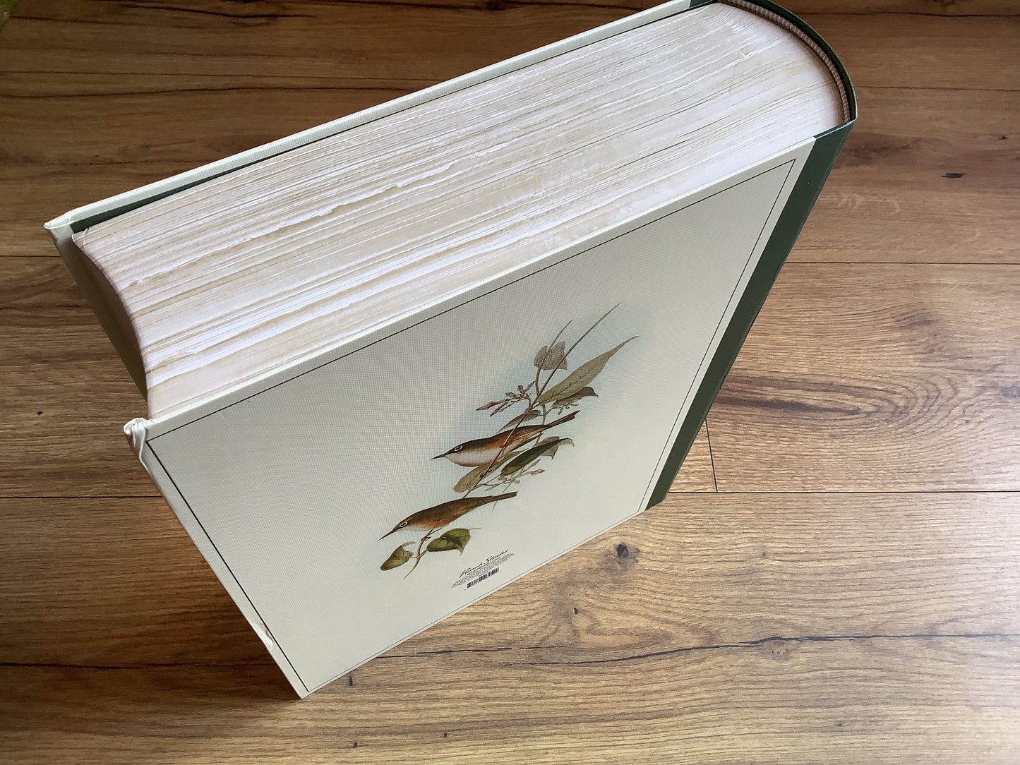 Geschenkschachtel Vögel (Punch Studio)°