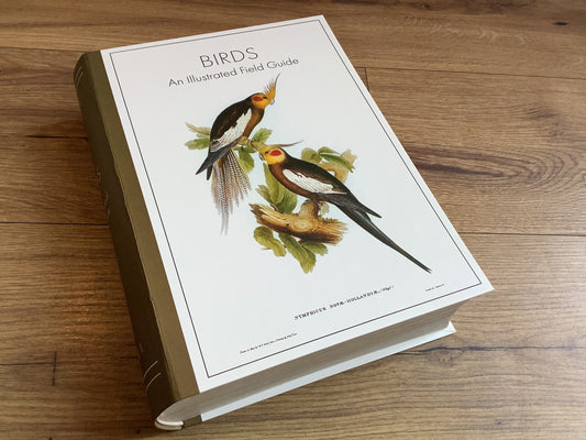 Geschenkschachtel Vögel (Punch Studio)°