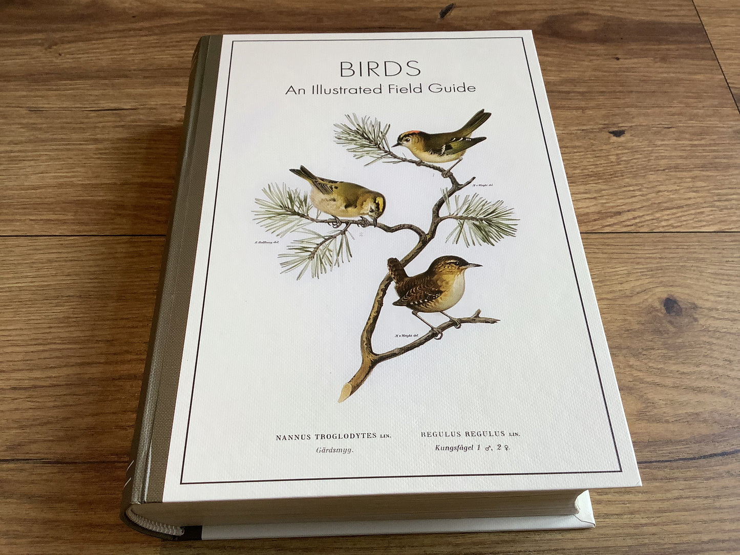 Geschenkschachtel Vögel (Punch Studio)°