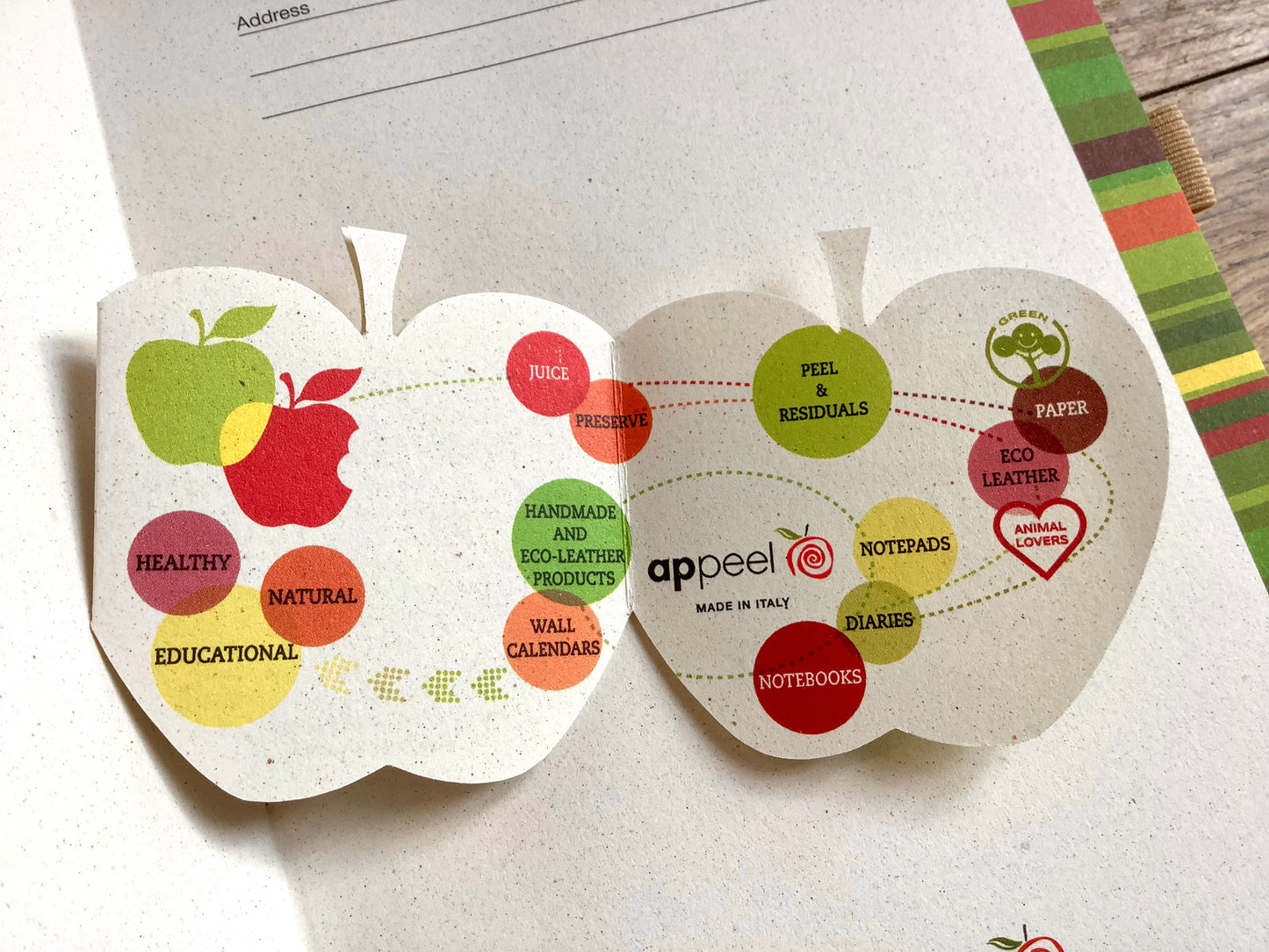 Notizbuch liniert Castelli Appeel 13x21cm°