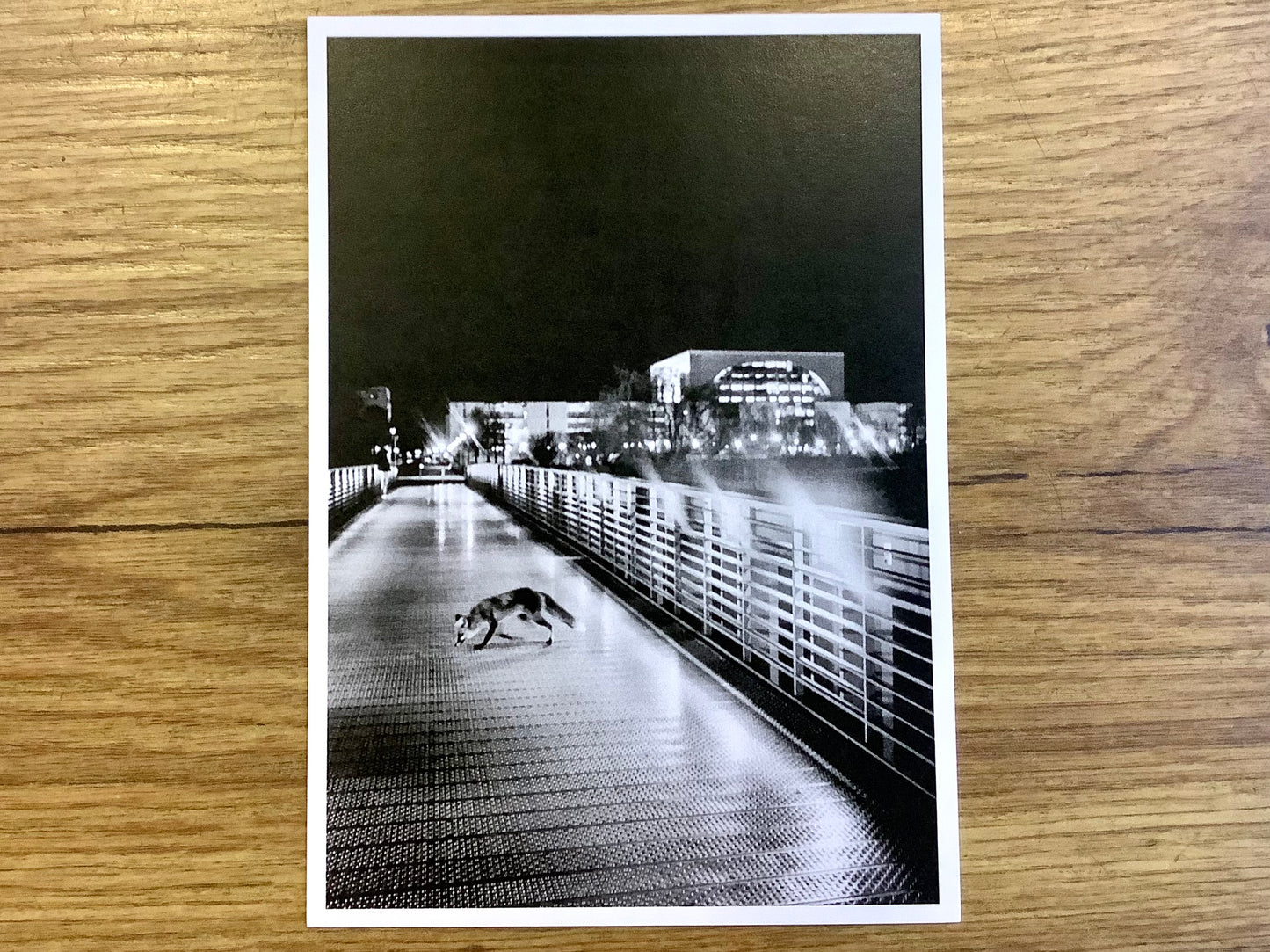 Postkarte „Berlin After Dark“ sw (Reister)°