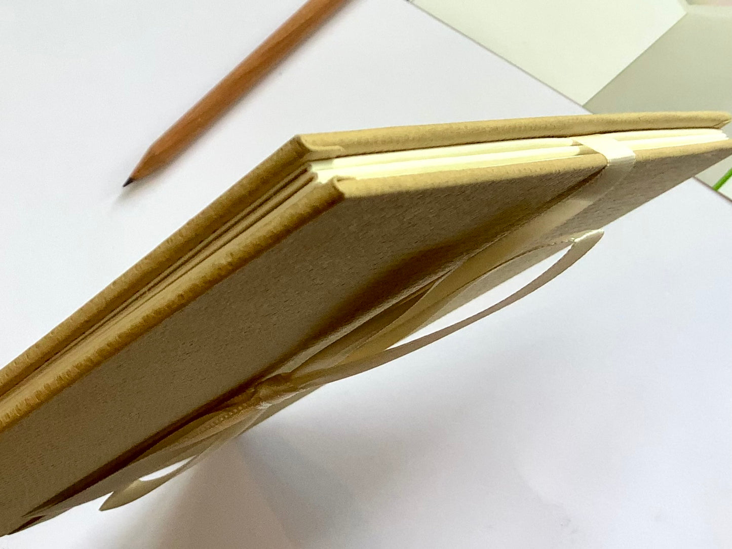 Foto-Leporello Natur beige (Goldbuch)