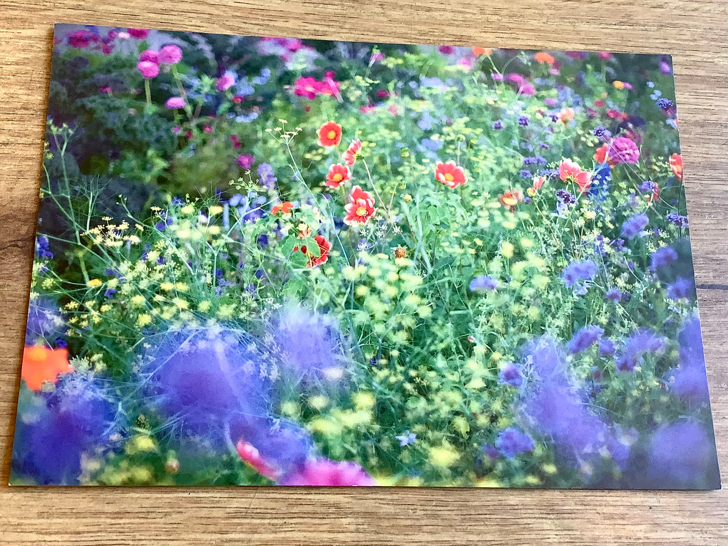 Postkarte Mystischer Garten (art+nature)