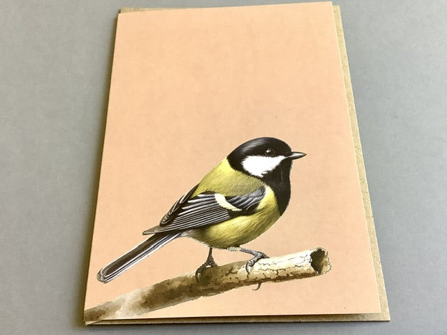 Briefkarte A6 „30x40“ Pflanzen+Tiere Recycling°