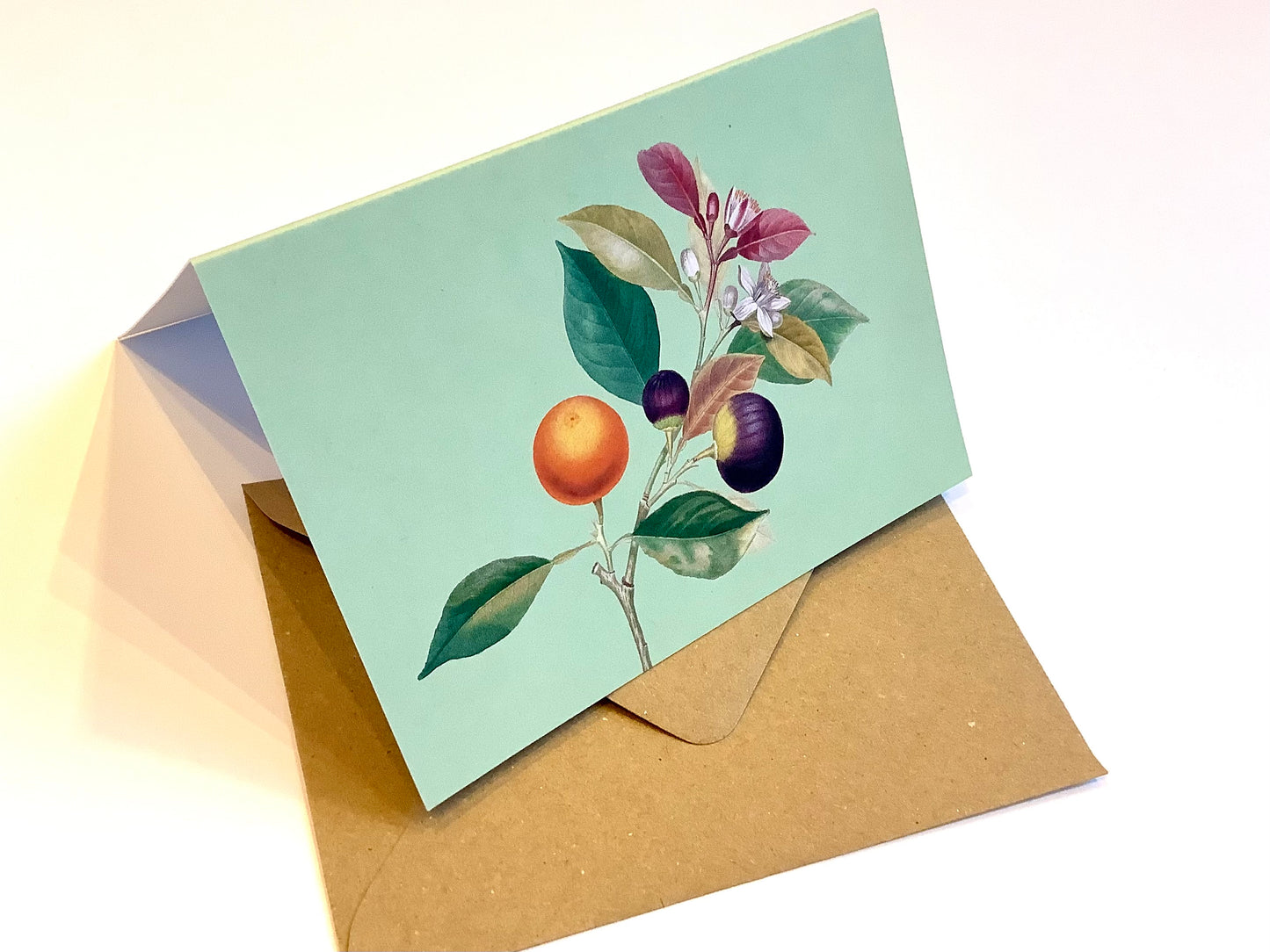 Briefkarte A6 „30x40“ Pflanzen+Tiere Recycling°