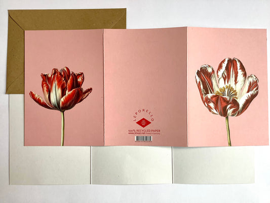 Klappkarte Tulpe Leporellokarte ("30x40“)