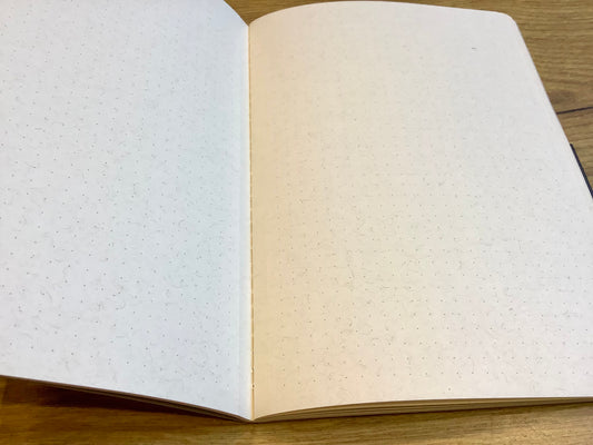 Notizbuch A5 dotted hellgrau Miquelrius Recyclingleder