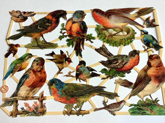 Glanzbilder Vögel nostalgisch°