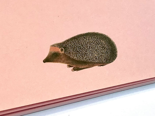 Notizblock Igel 10x10cm "30x40" RC