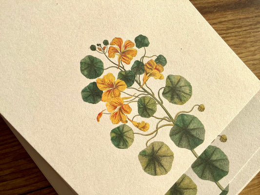 Notizblock lang Kapuzinerkresse RC "30x40" 10x21cm