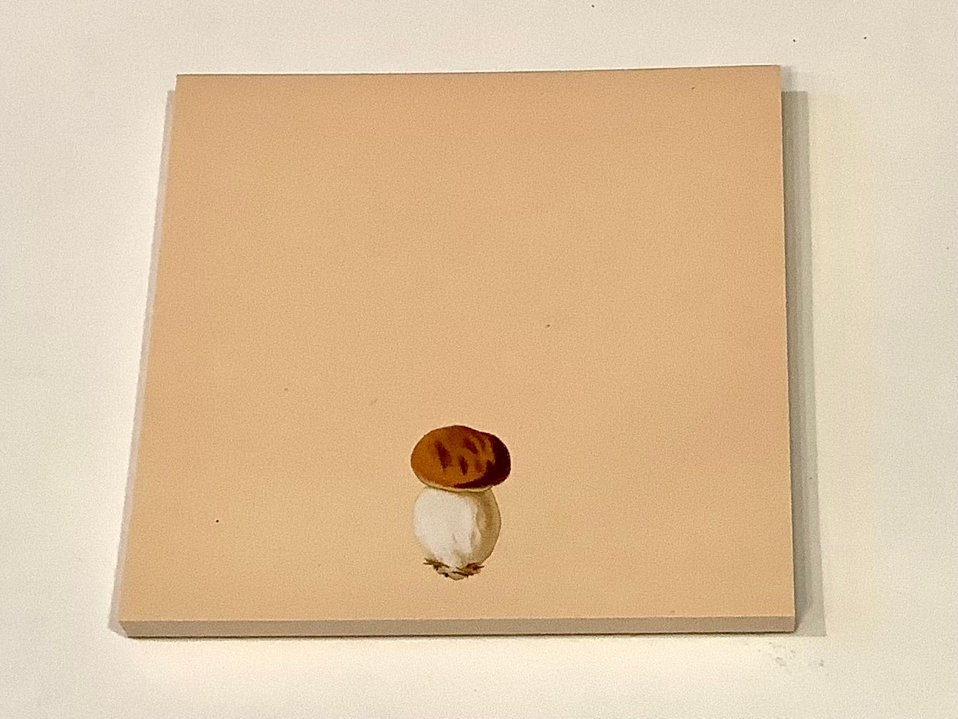 Notizblock Steinpilz 10x10cm "30x40" RC