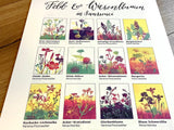 Maxi-Karte A4 +C4 Kunstkarte Feld- und Wiesenblumen