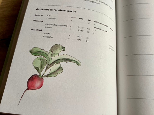 Wochenkalender TaschenGARTEN Notizbuch