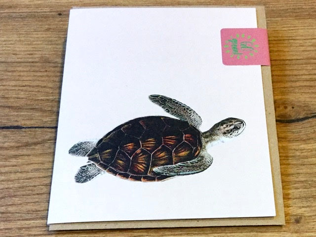 Kleine Grußkarte A7 Wassertiere („30x40“) RC°