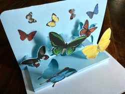 Pop-up-Karte mit dreidimensionalen bunten Schmetterlingen, die aus der Karte kommen beim Aufklappen.