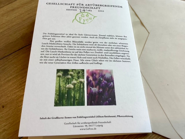 Grußkarte mit Blumensamen der Frühlingszwiebel