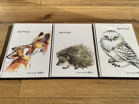 Freundschaftsbuch "Save Me"°