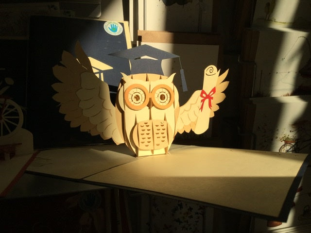 3D-Karte Eule mit Urkunde Pop-up