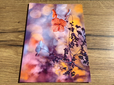 Postkarte art+nature Kletterhortensie