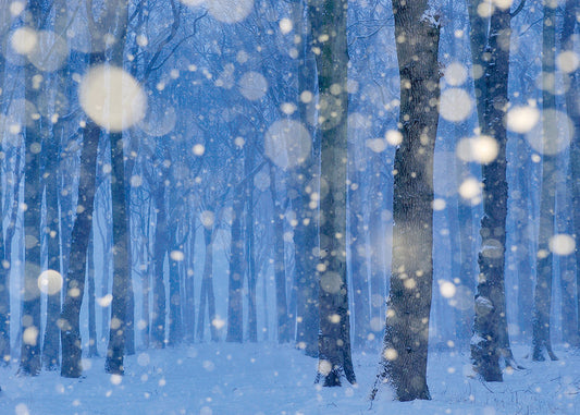 Postkarte Schneefall (art+nature)