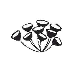 Mini-Stempel Blüten (Cats on appletrees)° - Polly Paper - Umweltfreundliche Schreibwaren