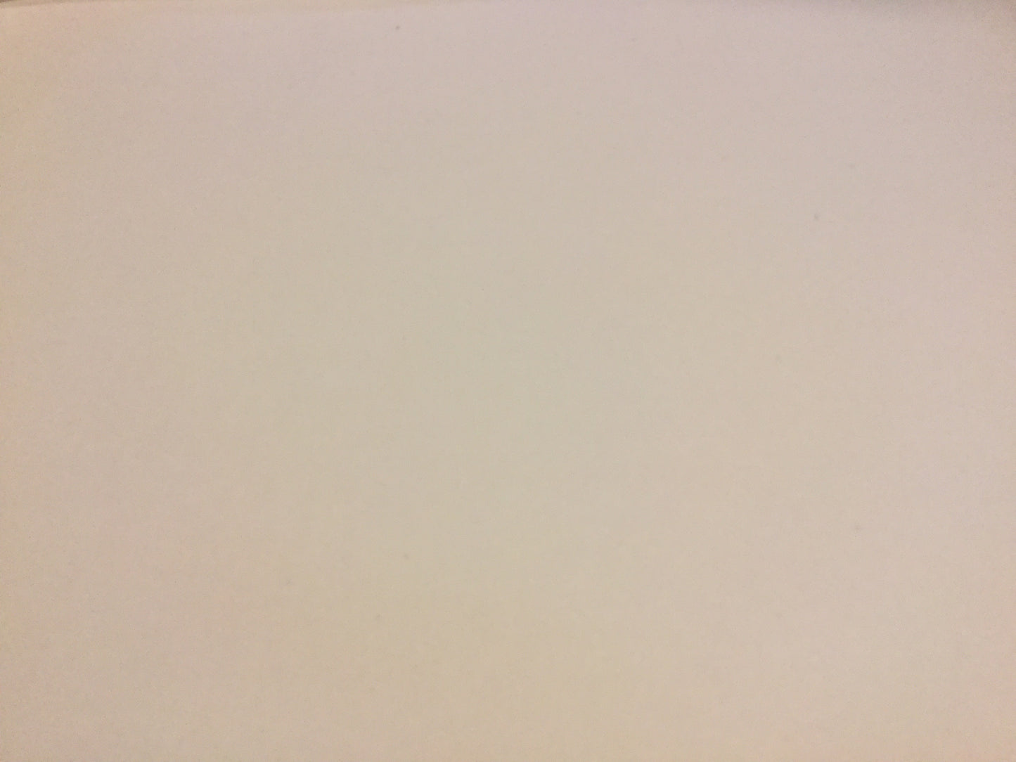 Fotokarton 50x70cm Plakat 300g Recycling°