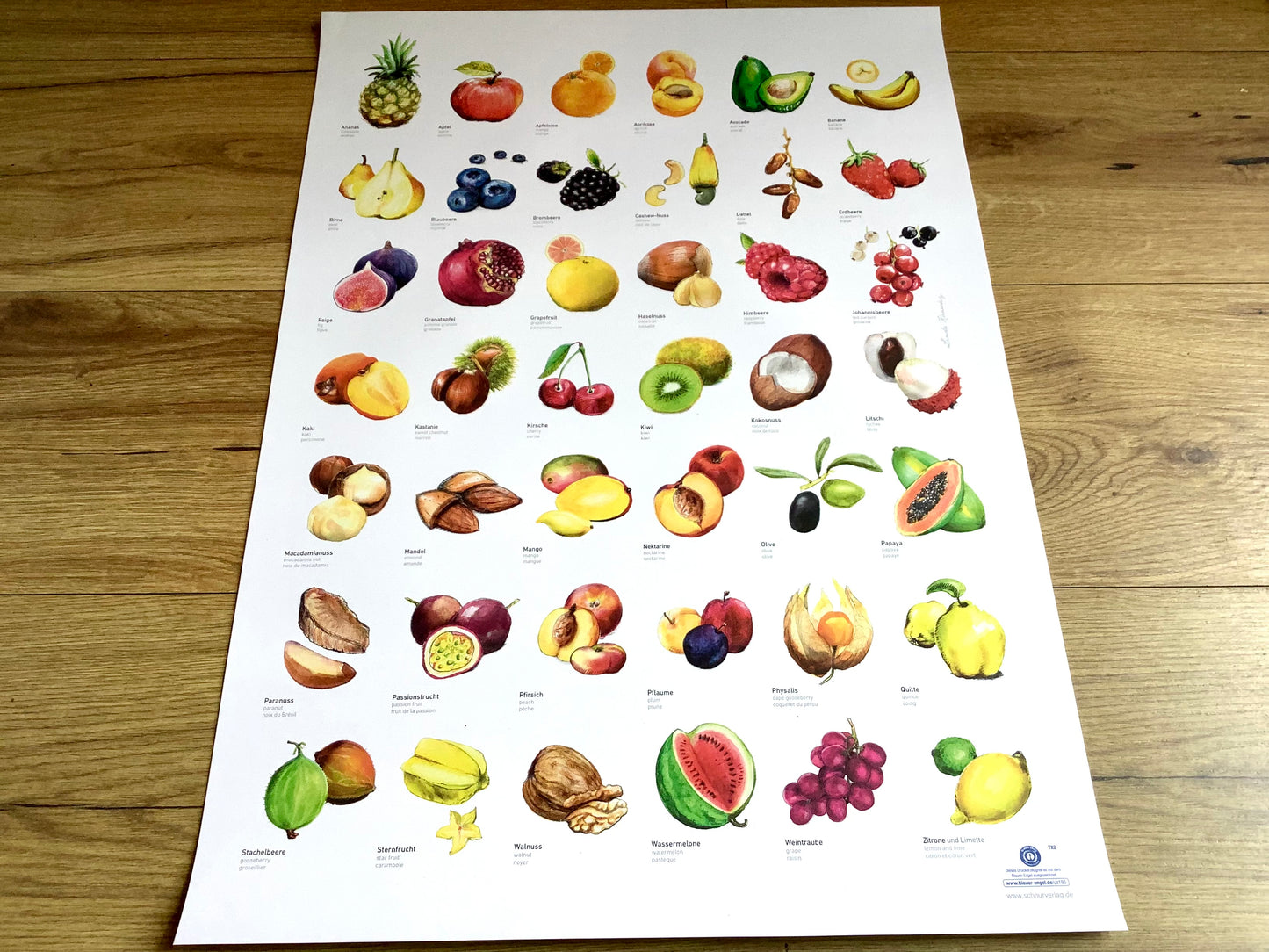 ABC-Poster Obst Schnurverlag