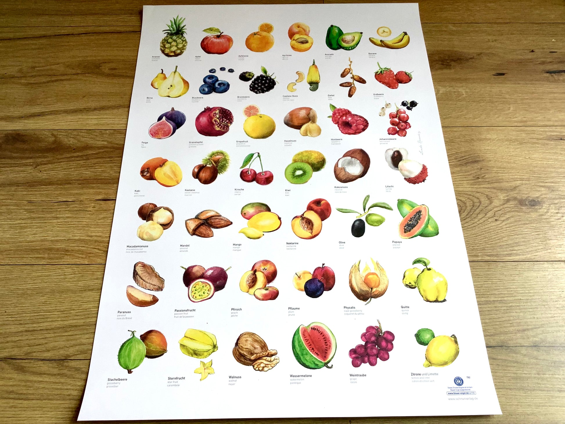 ABC-Poster Obst Schnurverlag