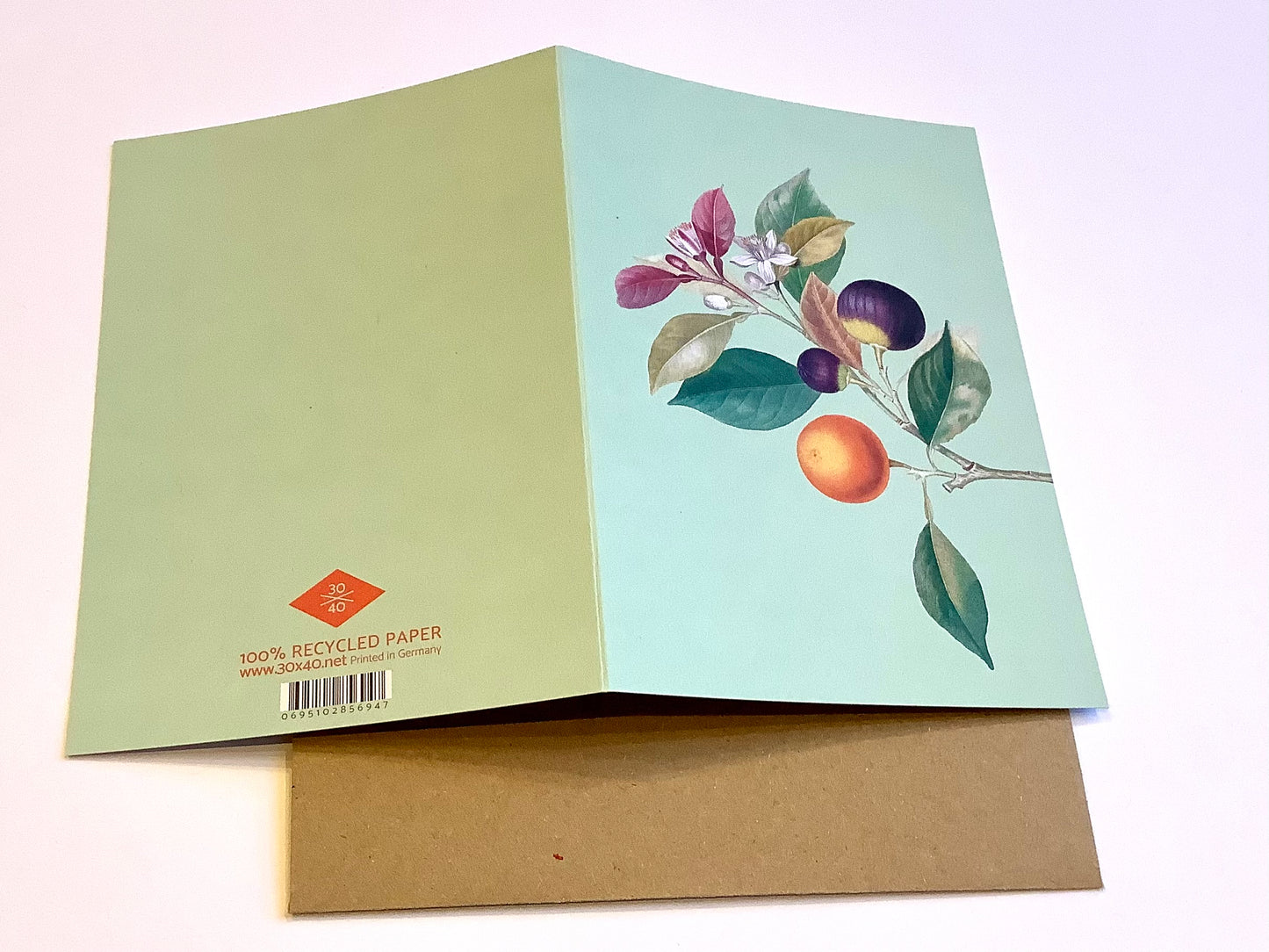 Briefkarte A6 „30x40“ Pflanzen+Tiere Recycling°