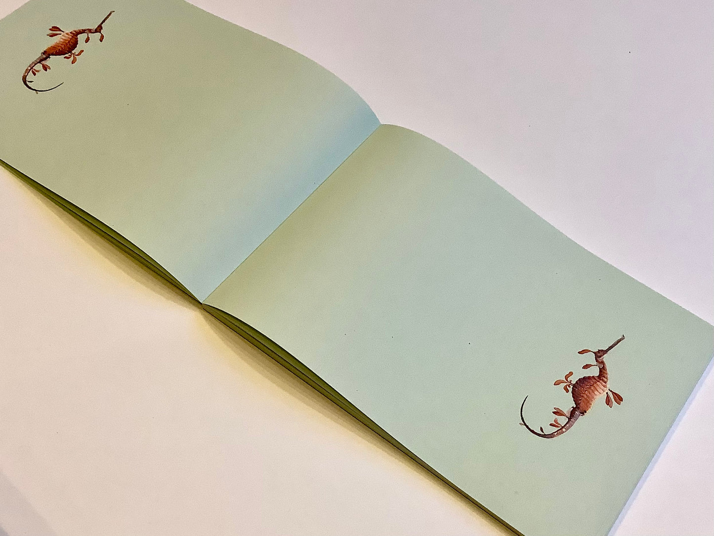 Notizblock A5 Briefblock RC "30x40"°