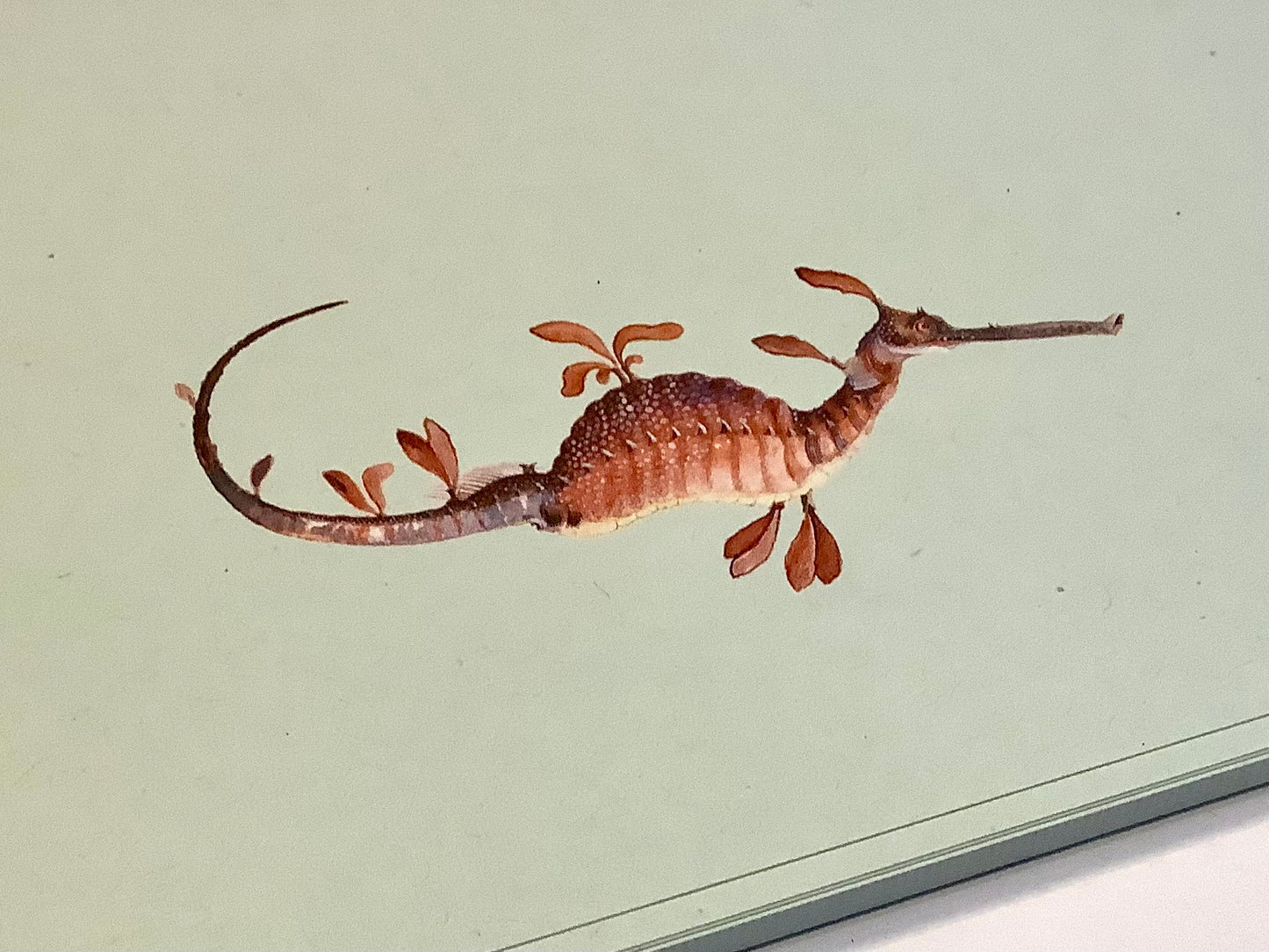 Notizblock A5 Briefblock RC "30x40"°