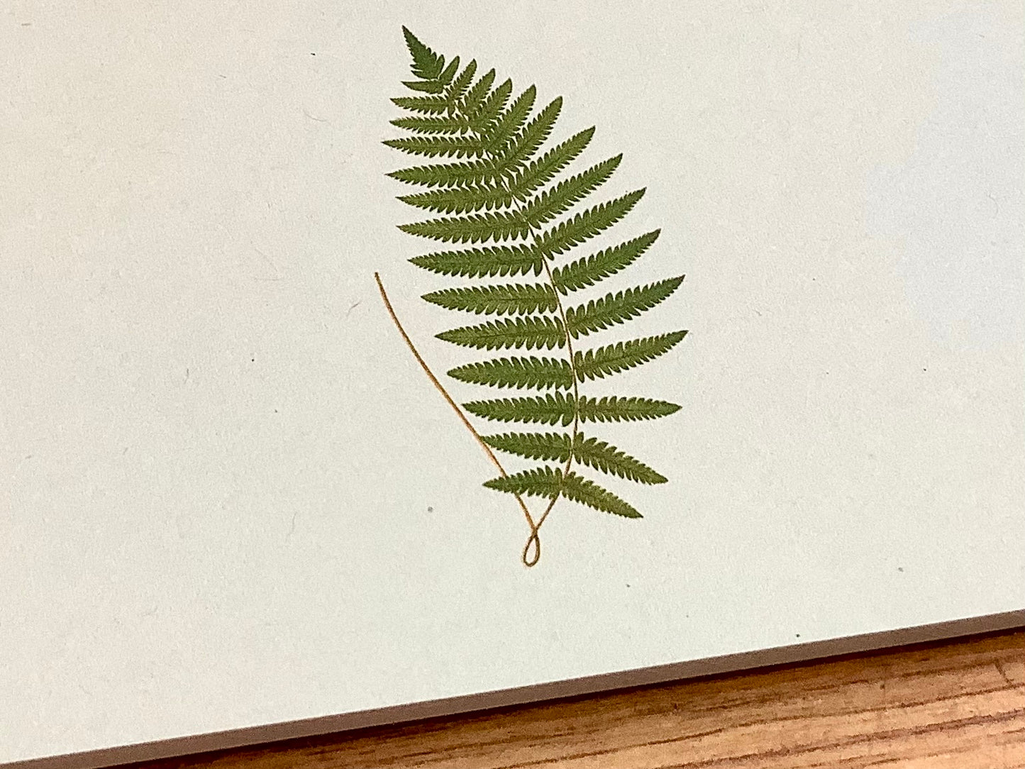 Notizblock A5 Briefblock RC "30x40"°