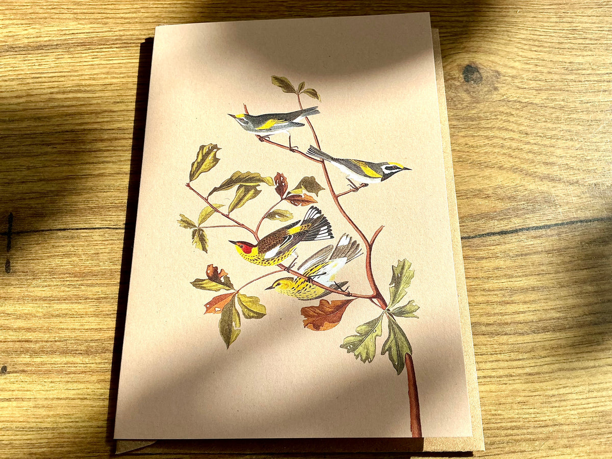 Briefkarte A6 „30x40“ Pflanzen+Tiere Recycling°