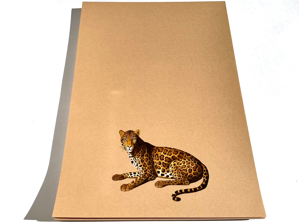 Notizblock A5 Leopard Briefblock RC "30x40"