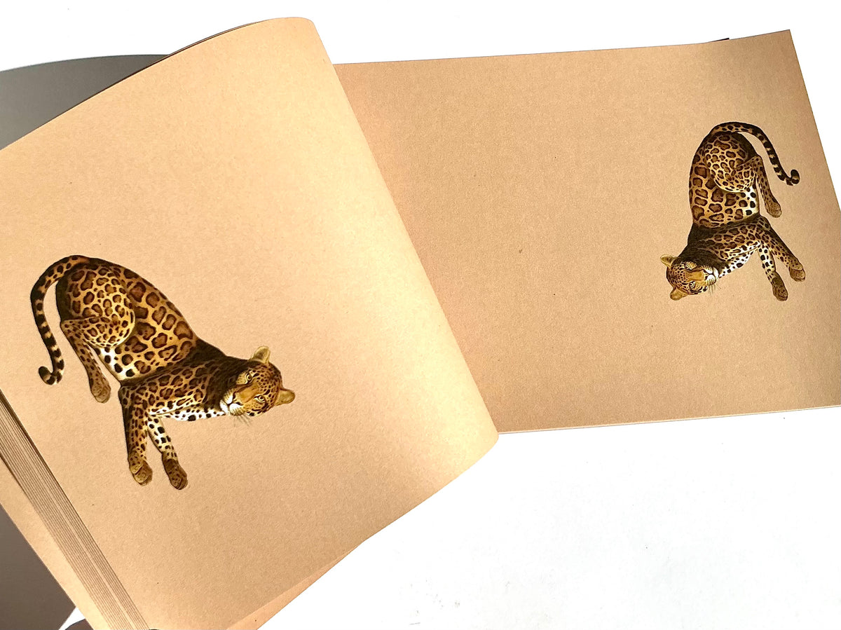Notizblock A5 Leopard Briefblock RC "30x40"