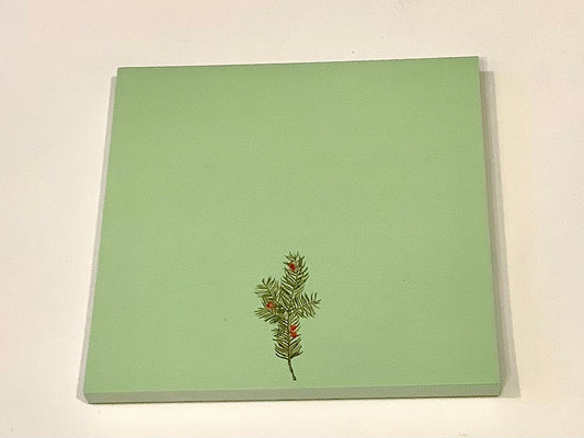 Notizblock Tannenzweig taxus 10x10cm "30x40" RC